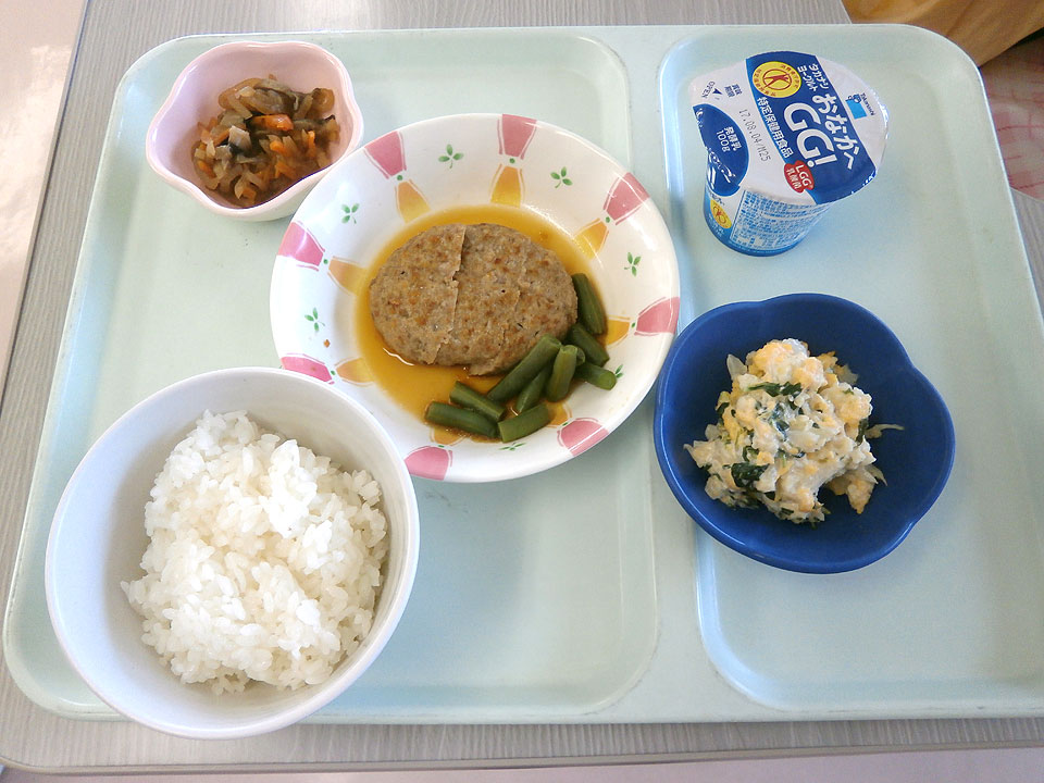グリーンリーブズ赤枝　透析治療について